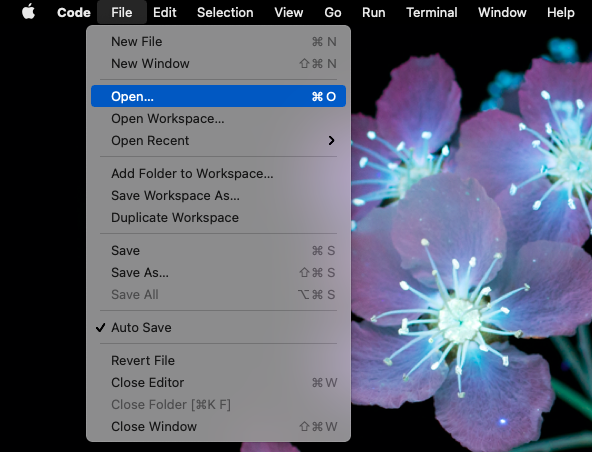 Opening a File in VSCode
